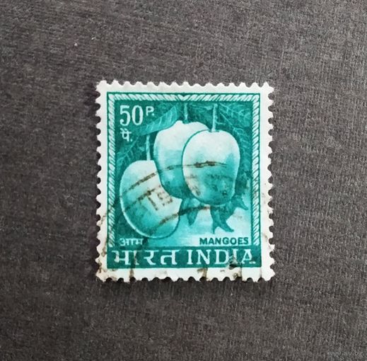 Марка Индия 1965 год Стандарт