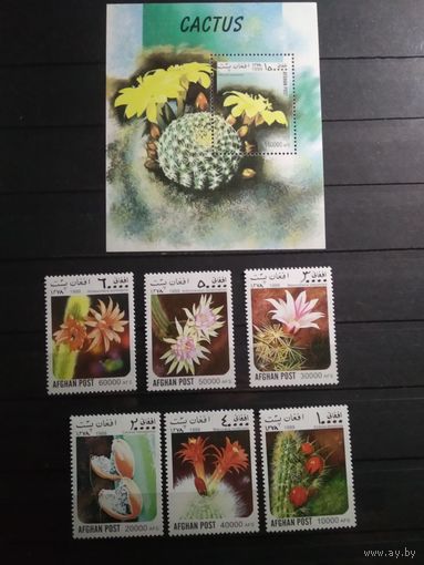 Афганистан 1999 г. Кактусы.