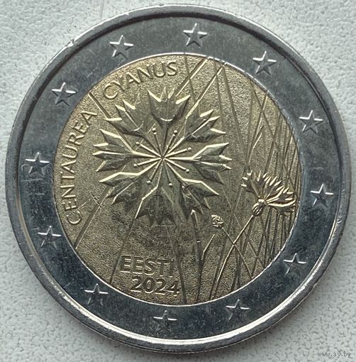 Эстония 2 евро 2024 г. Василек