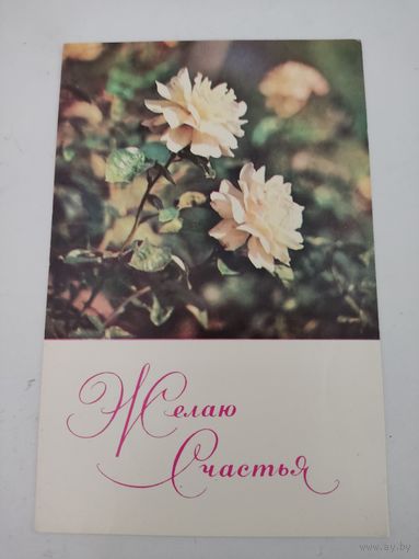 Открытка "Желаю счастья!" фото Б.Иванова 1968г.