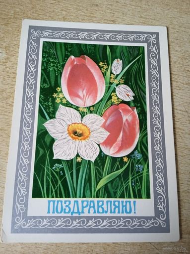 Фото Ф.Маркова Поздравляю! 1978г