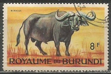 Бурунди. Животный мир страны. Африканский буйвол. 1964г. Mi#96.