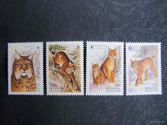 Марки Беларуси ##379-382. Европейская рысь