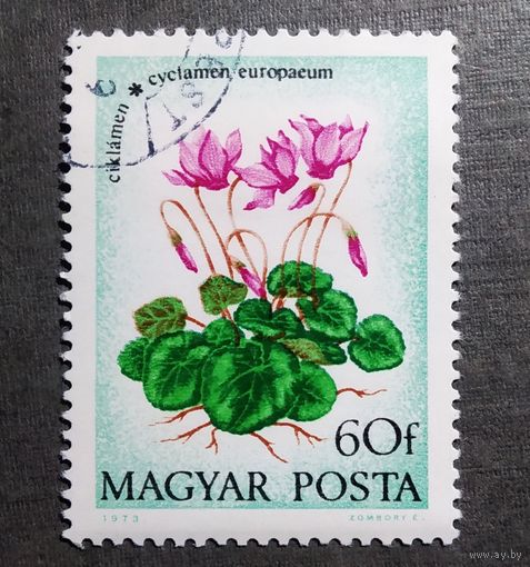Марка Венгрия 1975 год Цветы