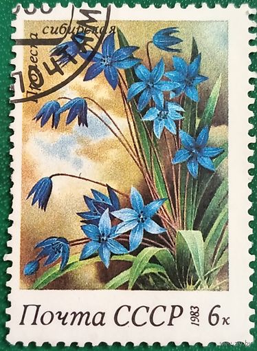 СССР 1983. Пролеска сибирская