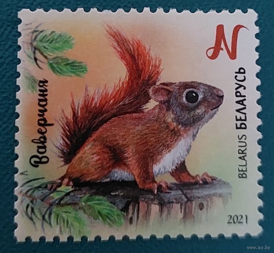 Беларусь 2021 Бельчонок