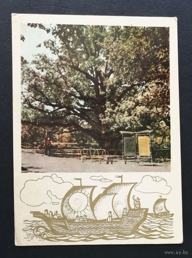 Запорожский Дуб. Верхняя Хортица. Украинская ССР. Виды городов. Пейзажи. 1968 год #0230-V2P115