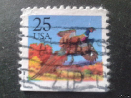 США 1988 стандарт, птица