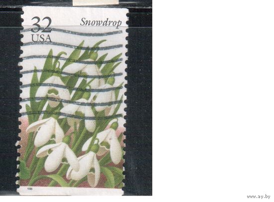 США-1996 (Мих.2687) , гаш., Флора, Цветы