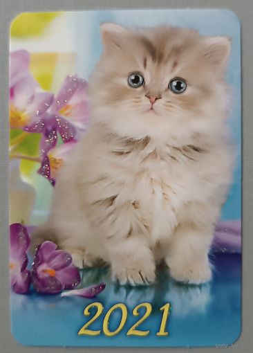 Котенок. Календарик, 2021