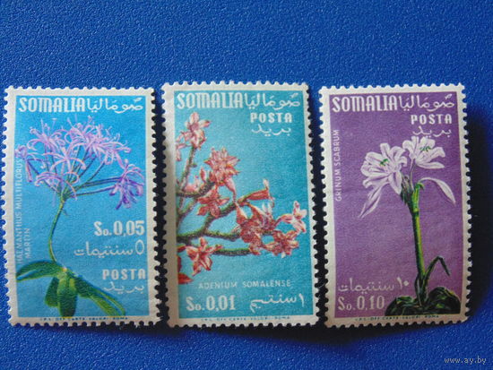 Сомали. Цветы.
