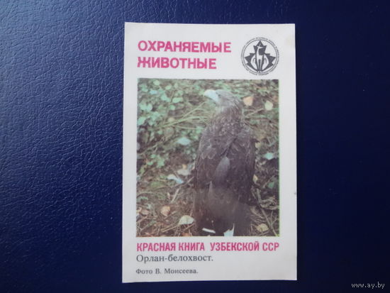 Календарик 1987 г.  Красная книга Узб.ССР. Орлан-белохвост.