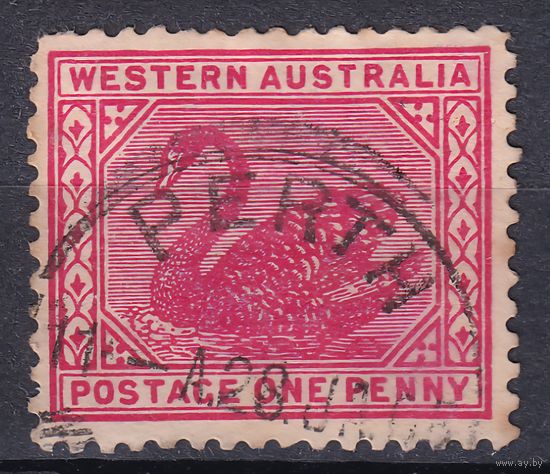 158.Aust. Великобритания. Австралийские штаты. Западная Австралия. Чёрный лебедь. Стандарт. 1902 г. 1p. Mi.#49A.