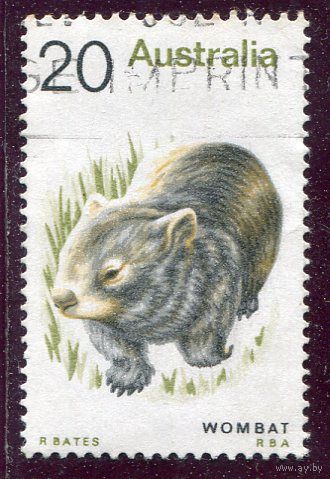 Австралия. Фауна