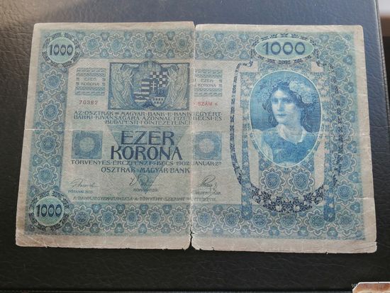Австрия 1000 крон 1902