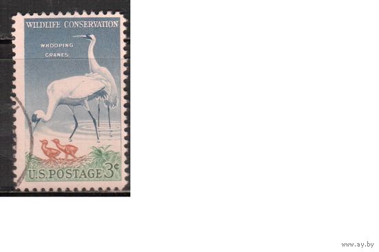 США-1957, (Мих.721), гаш. , Фауна, Цапля(одиночка) ,