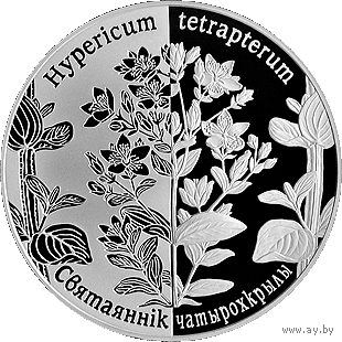 Святаяннік чатырохкрылы (Зверобой четырехкрылый). Адроджаныя расліны (Возрожденные растения). 1 рубель