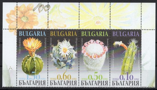 Болгария 2009. Флора. Кактусы (4900)