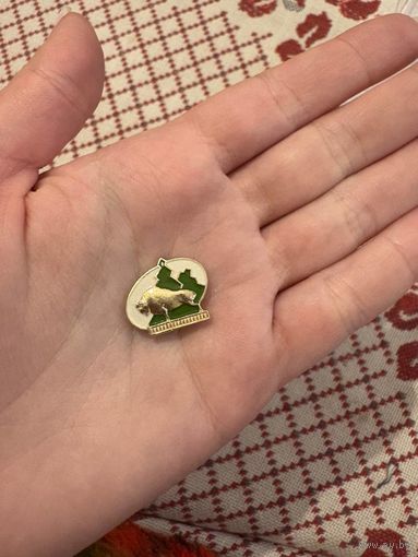 Зубр ЗНАЧОК С РУБЛЯ