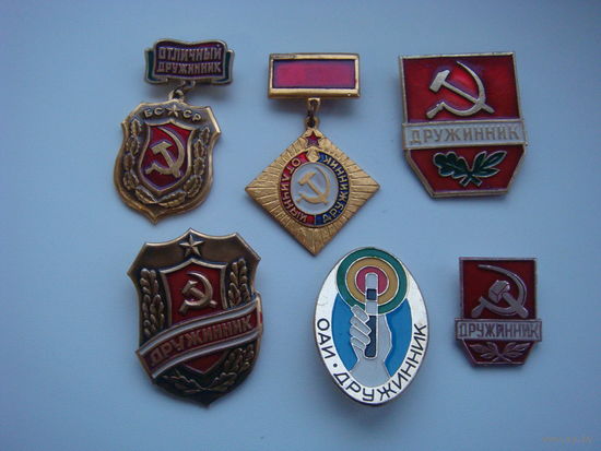 Дружинник