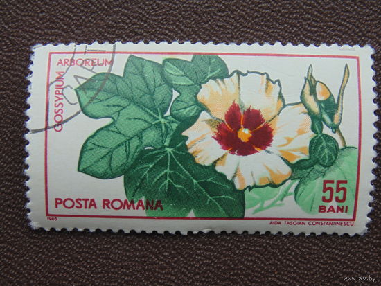 Румыния 1965 г. Цветы.