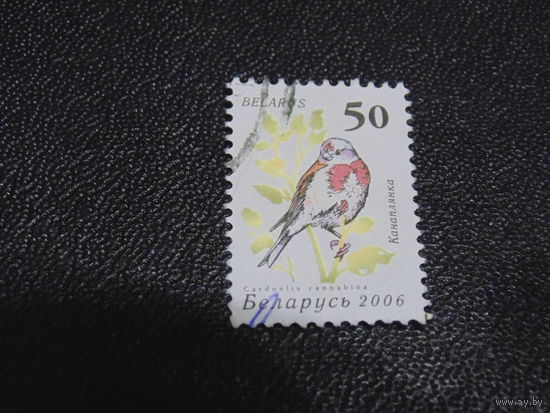 Беларусь 2006 г.