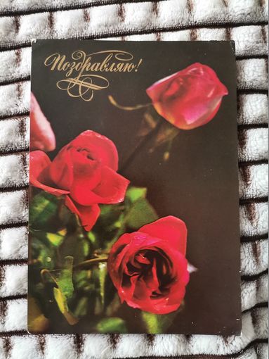 Открытка Поздравляю