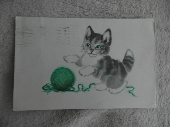 Открытка. Котенок. Худ.Гамбургер.1968 год. Подписана.