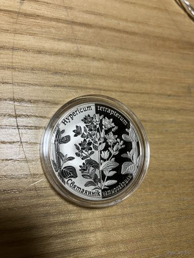 Святаяннік чатырохкрылы (Зверобой) 1 р. Абмен.