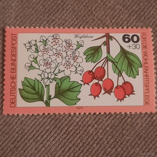 ФРГ 1979. Флора