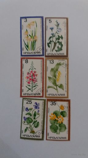 Болгария 1982  6м цветы