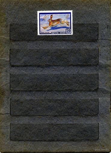 СССР, 1960, ЗАЯЦ-РУСАК, серия 1м, чистая**