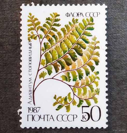 Марка СССР 1987 год Папоротник