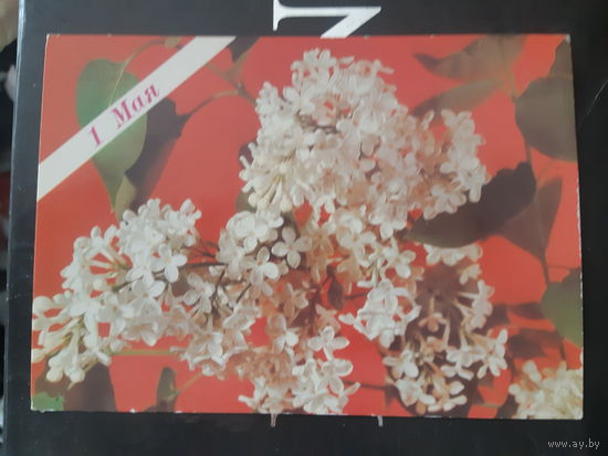 Геодакова 1 мая