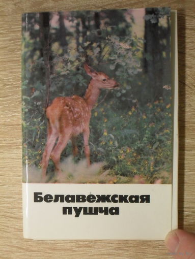 КОМПЛЕКТ ЧИСТЫХ ОТКРЫТОК 16 шт. (ОДНОЙ НЕТ!) "БЕЛОВЕЖСКАЯ ПУЩА" 1981 ГОД.