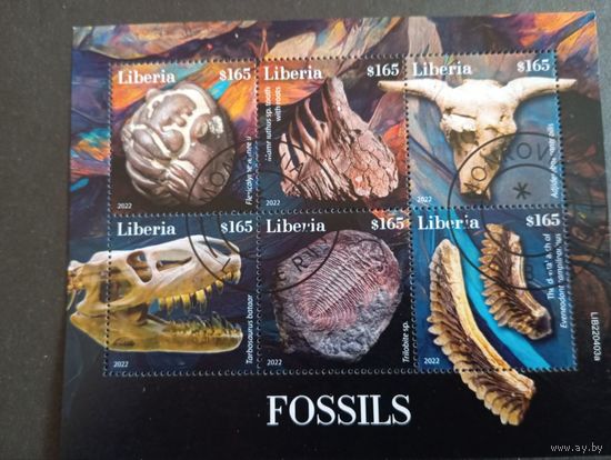 ЛИСТ ВУЛКАНЫ МИНИРАЛЫ МЕТЕОРИТЫ СТО