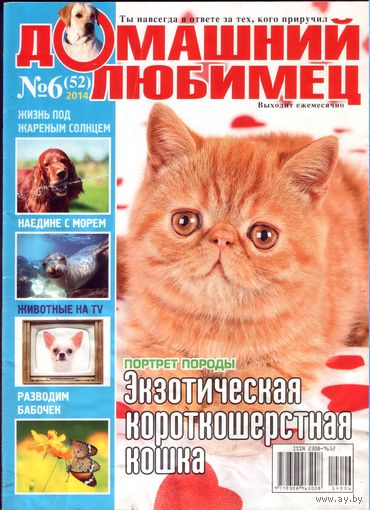 Домашний любимец #52