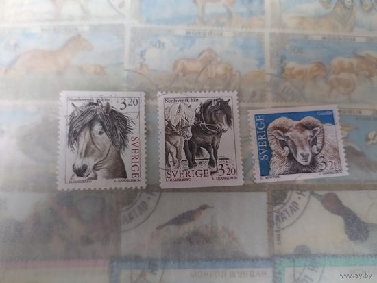 Марки Швеции, домашние животные.