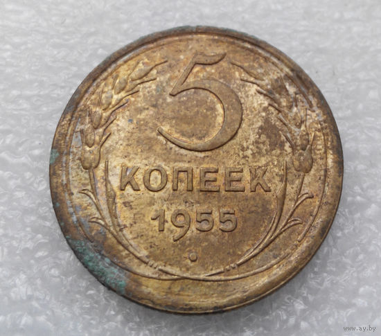 5 копеек 1955 года СССР #17