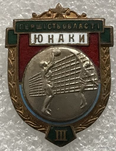 ВОЛЕЙБОЛ ПЕРВЕНСТВО ОБЛАСТИ ЮНАКИ 3 МЕСТО