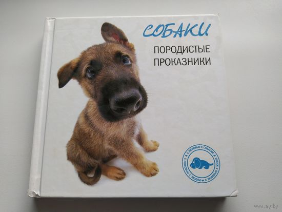 Собаки породистые проказники