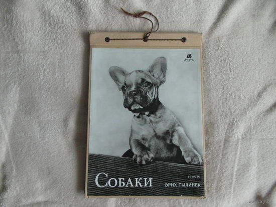 Тылинек Эрих. Собаки. 24 ч/б фотографии. Прага. Artia, Артия.