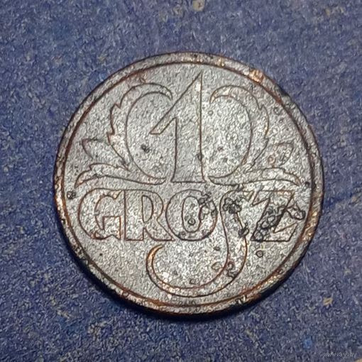 Польша 1 грош 1928 г. #2