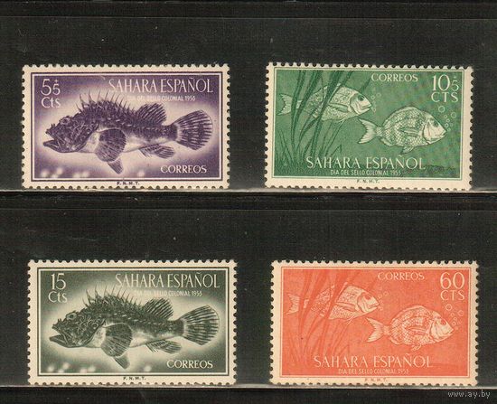 Сахара Испанская-1953(Мих.139-152) , **   ,  Морская фауна, Рыбы (полная серия)