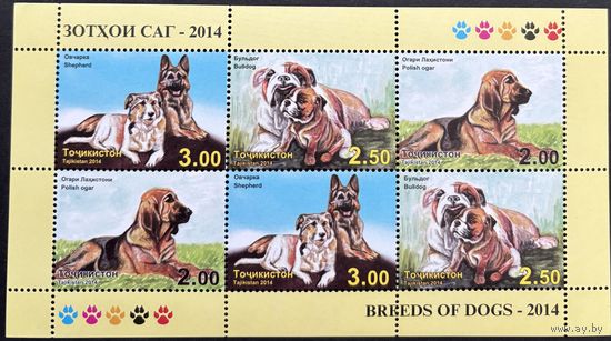 Таджикистан 2014  . Фауна. Собаки. Малый лист