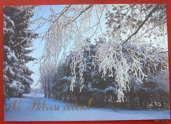 С новым годом! Подписанная. 1989 года. Фото Буркина. 240.