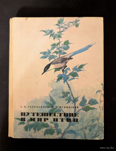 Путешествие в мир птиц | Голованова Э.Н Пукинский Ю.Б. | Птицы | Животные | Природа