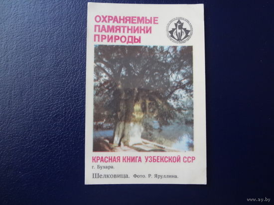 Календарик 1987 г.  Красная книга Узб.ССР.  Шелковица.