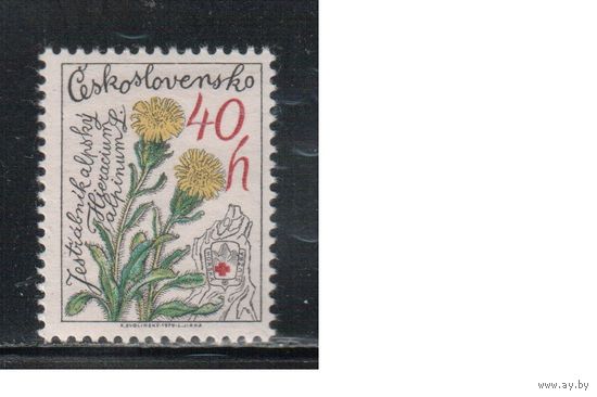 Чехословакия-1979,(Мих.2497)  ** , Лекарственные растения