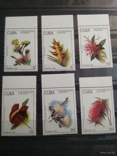 Куба 1993 г. Цветы.